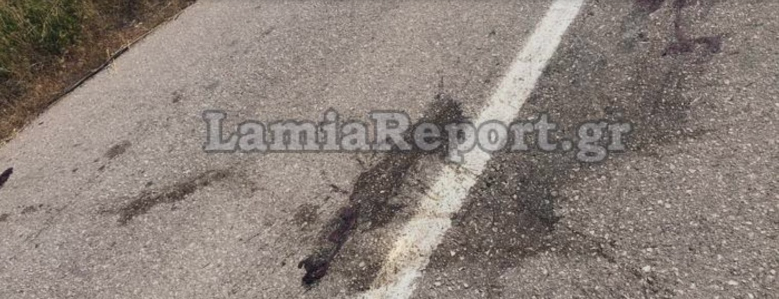 Φθιώτιδα: 37χρονος δικυκλιστής τραυματίστηκε σοβαρά μετά από σύγκρουση με αγριογούρουνο