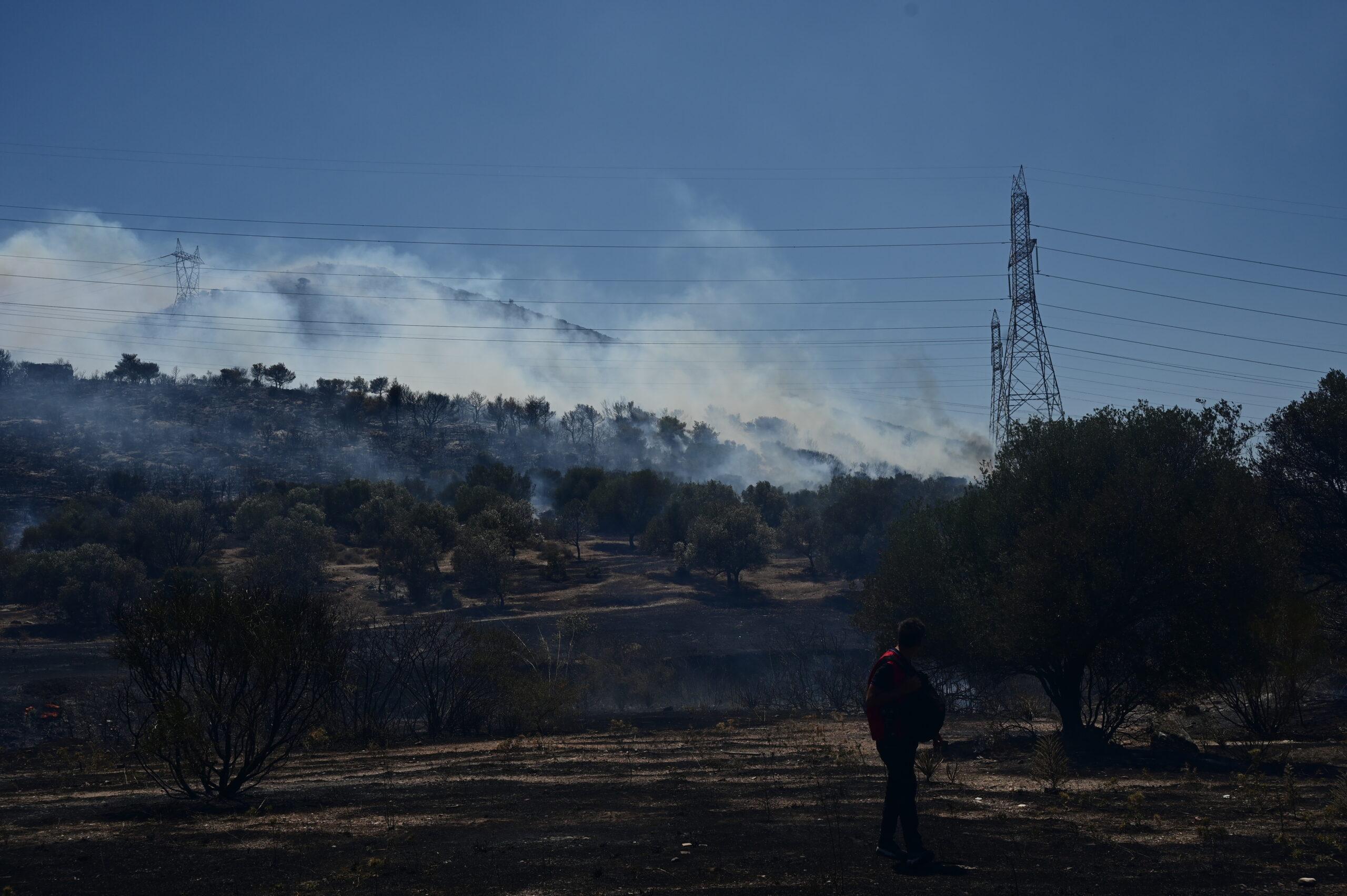 Γ. Aρτοποιός για φωτιά στο Ν. Κουβαρά: Προέχει η αεροπυρόσβεση – Είμαστε έτοιμοι για κάθε ενδεχόμενο (vid)