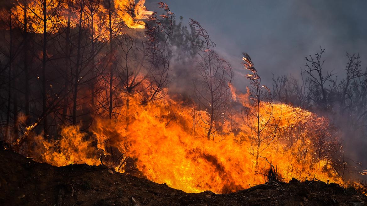 Συλλήψεις για εμπρησμό στα Γρεβενά – 74χρονος ως κύριος ύποπτος