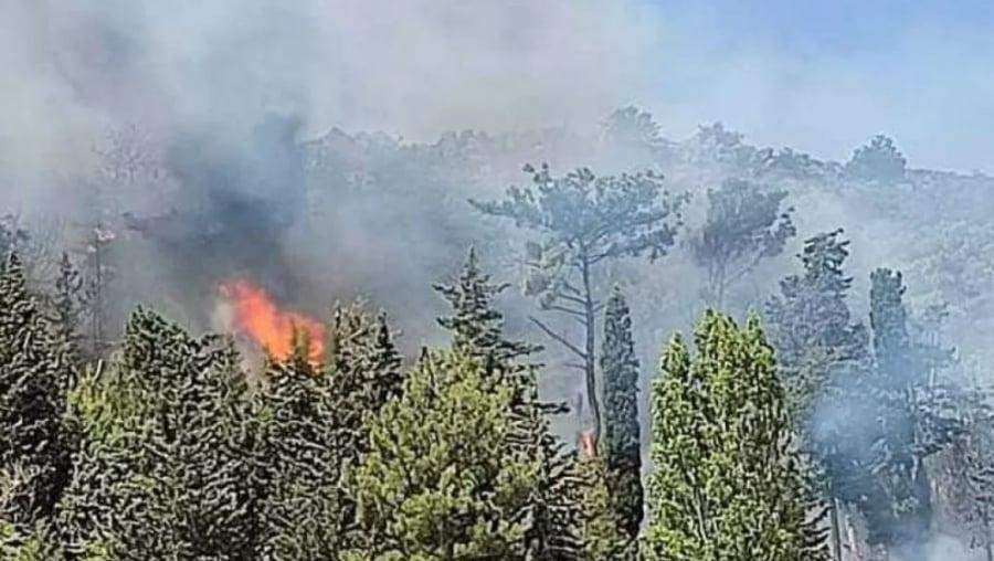 Ελλάδα: 51 δασικές πυρκαγιές το τελευταίο 24ωρο – Αυτή είναι η εικόνα σε Ρόδο, Αχαΐα και Κέρκυρα