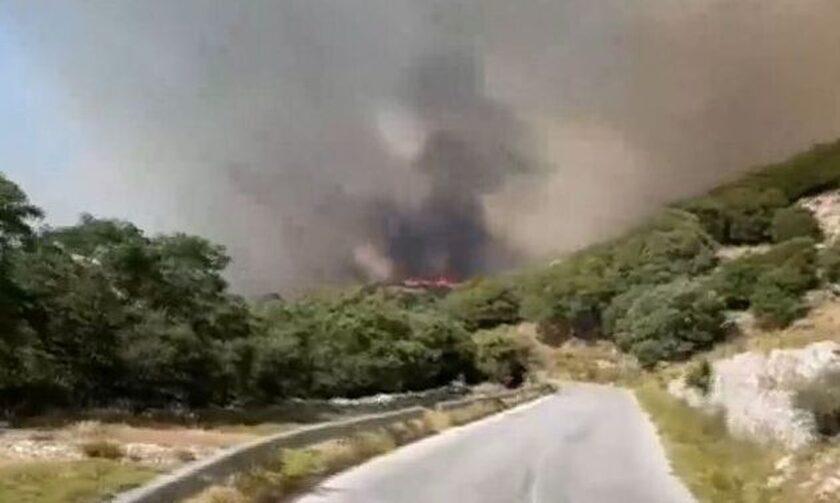 Φωτιά στη Νάξο: Ξέσπασε από αμέλεια ηλικιωμένου – Η ανακοίνωση της Πυροσβεστικής