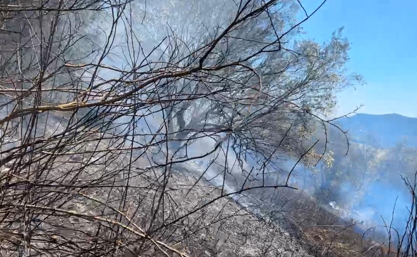 Ιωάννινα: Έβαλε φωτιά για να κάψει ξερά κλαδιά της ξέφυγε και… πρόλαβε η Πυροσβεστική