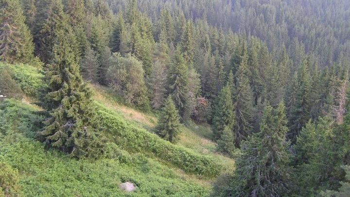 Αυξημένος κίνδυνος πυρκαγιάς αναμένεται αύριο σε έξι περιφέρειες