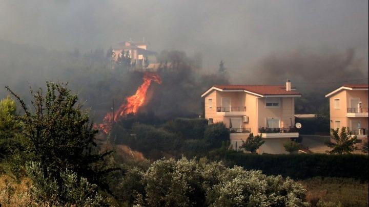 Λαμία: Αναζωπυρώθηκε η πυρκαγιά στα βόρεια της πόλης
