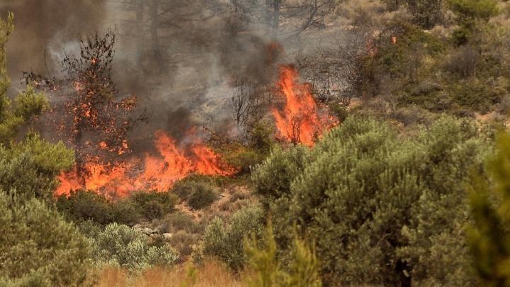 Άμεσα τέθηκε υπό έλεγχο φωτιά στο Τεμπλόνι Κέρκυρας