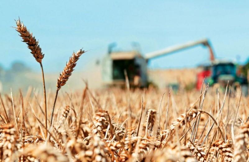 Ουκρανία: Ανησυχία για μεγάλες ανατιμήσεις μετά την αποχώρηση της Ρωσίας από τη συμφωνία για τα σιτηρά