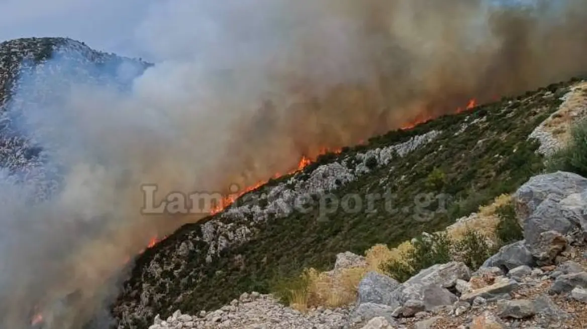 Υπό έλεγχο η φωτιά στη Γκάτζα του δήμου Λοκρών