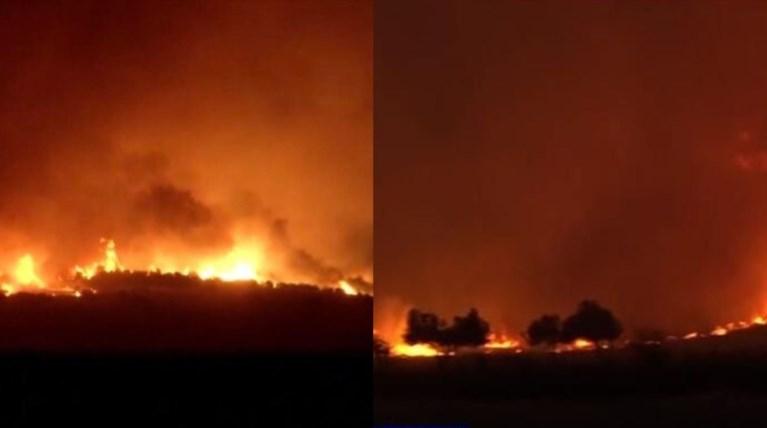 Αλεξανδρούπολη: Δύσκολη η νύχτα στο πύρινο μέτωπο – Μάχη με τις φλόγες και τους δυνατούς ανέμους