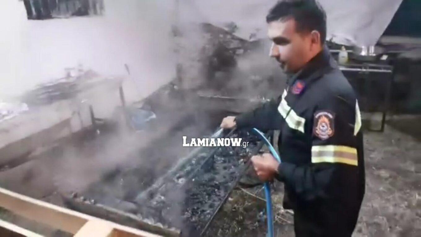 Λαμία: Κάλεσε την πυροσβεστική για να σβήσει ψησταριά με σουβλάκια (ΒΙΝΤΕΟ)