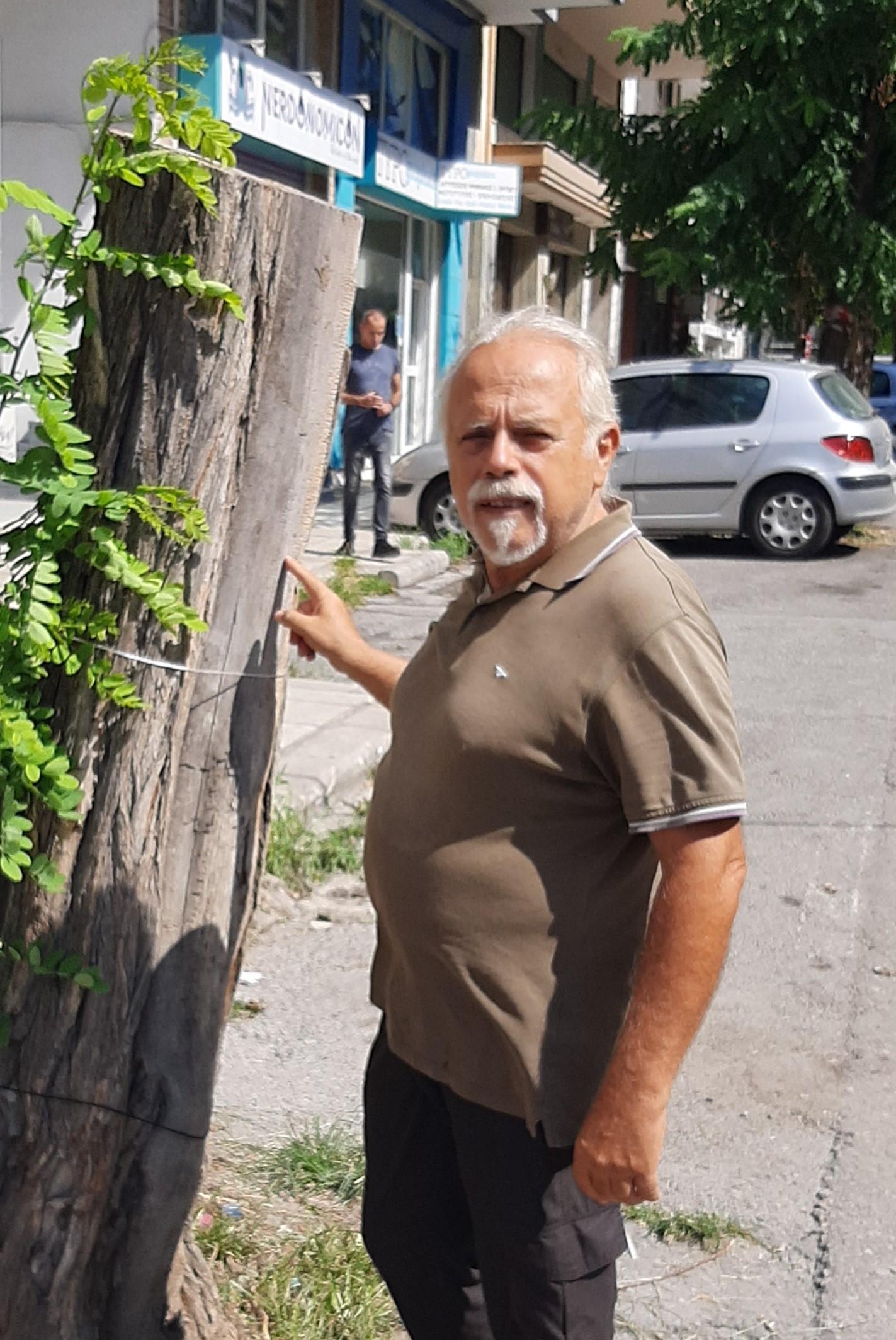 Οικολογία-Αλληλεγγύη: Μισές αλήθειες, ολόκληρα ψέματα από τη Διοίκηση Ζέρβα για τις κοπές δένδρων