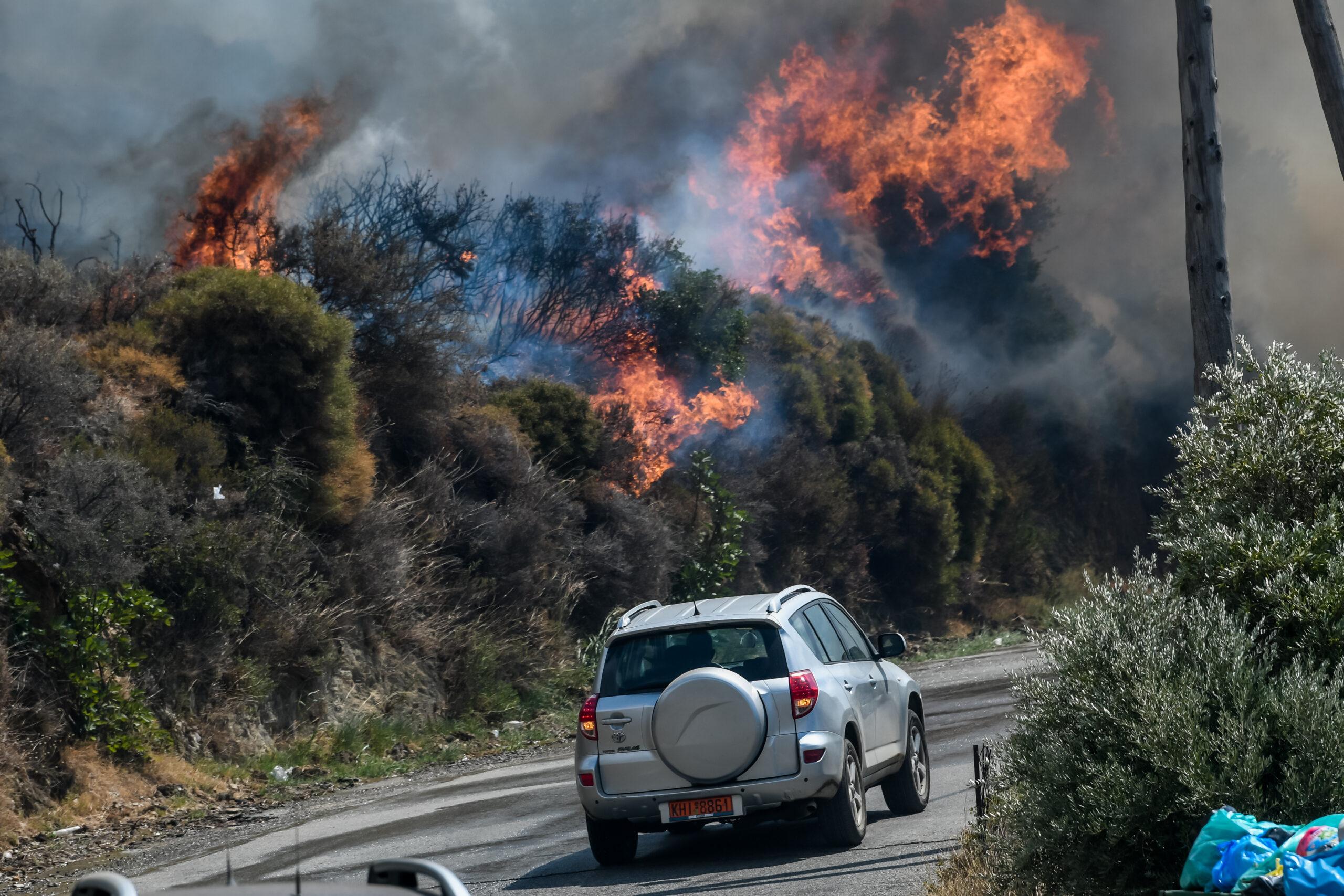 Εύβοια: Φωτιά στους Αγίους Αποστόλους – Επιχειρούν 25 πυροσβέστες