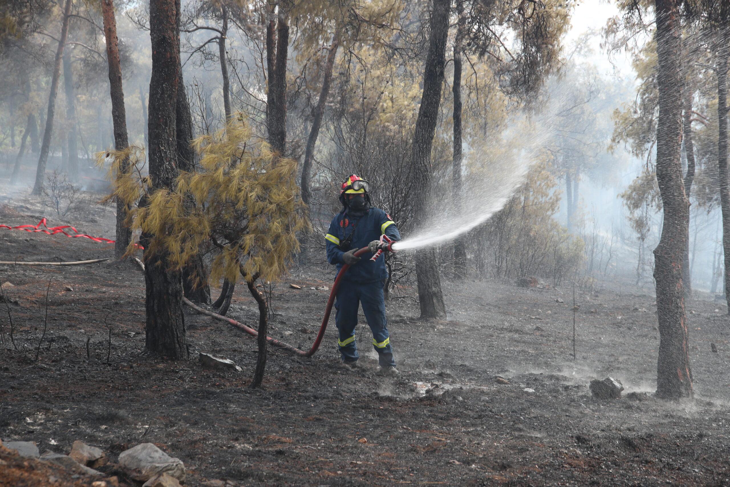 Φωτιές – Χάρτης επικινδυνότητας: Μεγάλος ο κίνδυνος για πάρα πολλές περιοχές (ΒΙΝΤΕΟ)