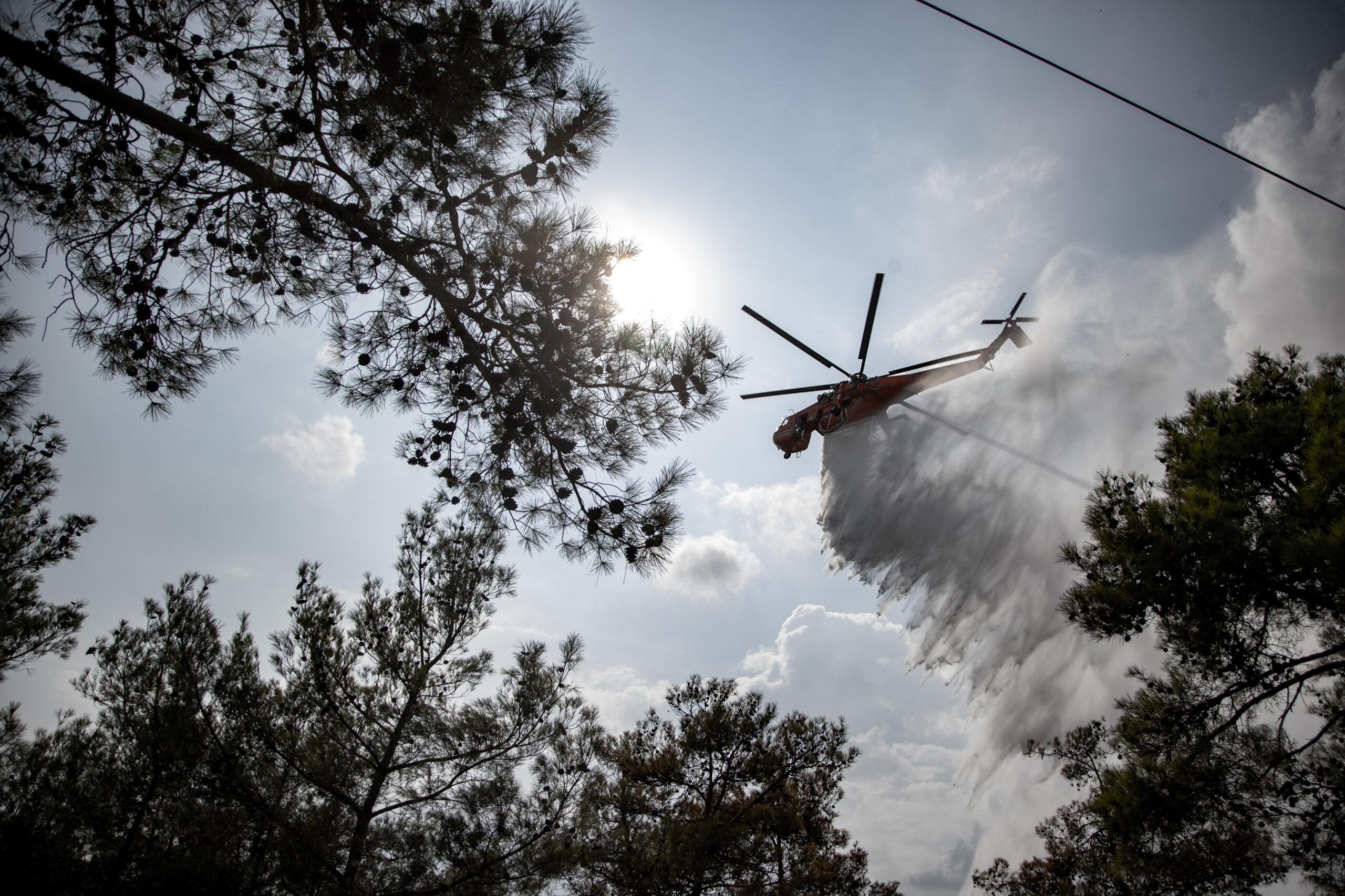 Θεσσαλονίκη: Ξέσπασε φωτιά στο Σέιχ Σου – Επενέβη άμεσα η πυροσβεστική