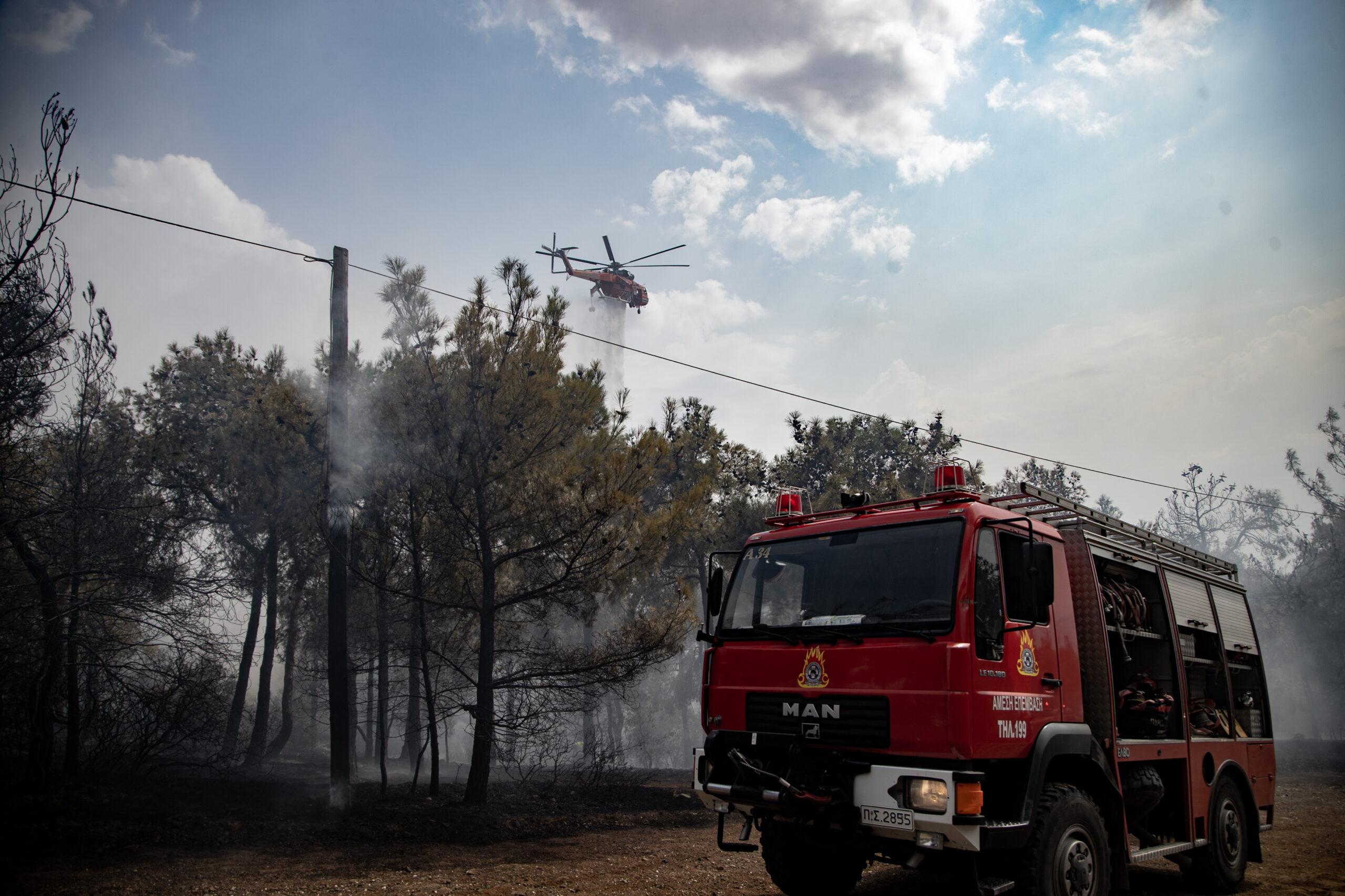 Θεσσαλονίκη: Απαγόρευση της κυκλοφορίας σε δάση αύριο (20/8) λόγω του κινδύνου πυρκαγιάς