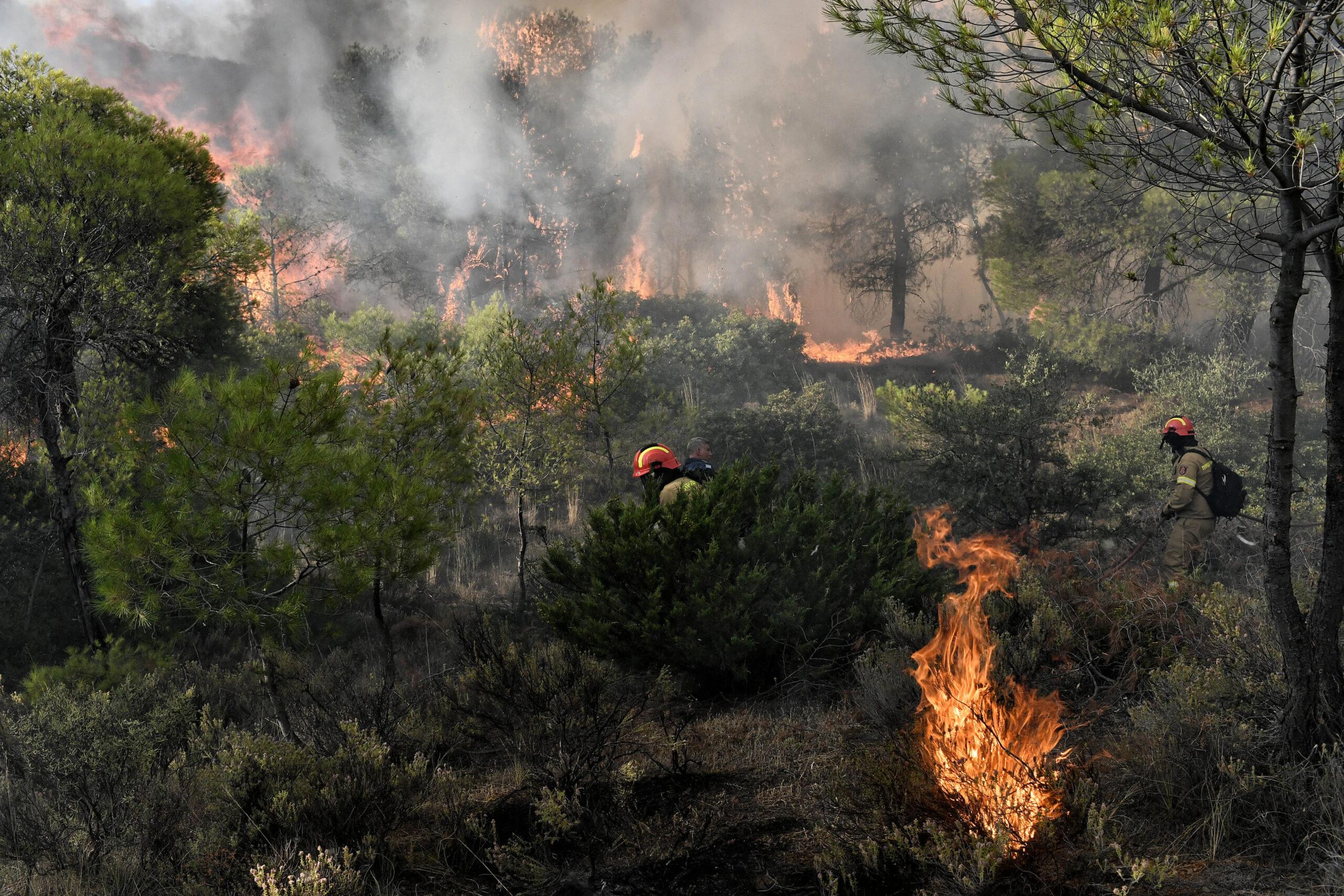 Χάρτης πυρκαγιών: Υψηλός κίνδυνος σε 21 περιοχές της χώρας για αύριο Τρίτη (29/8)