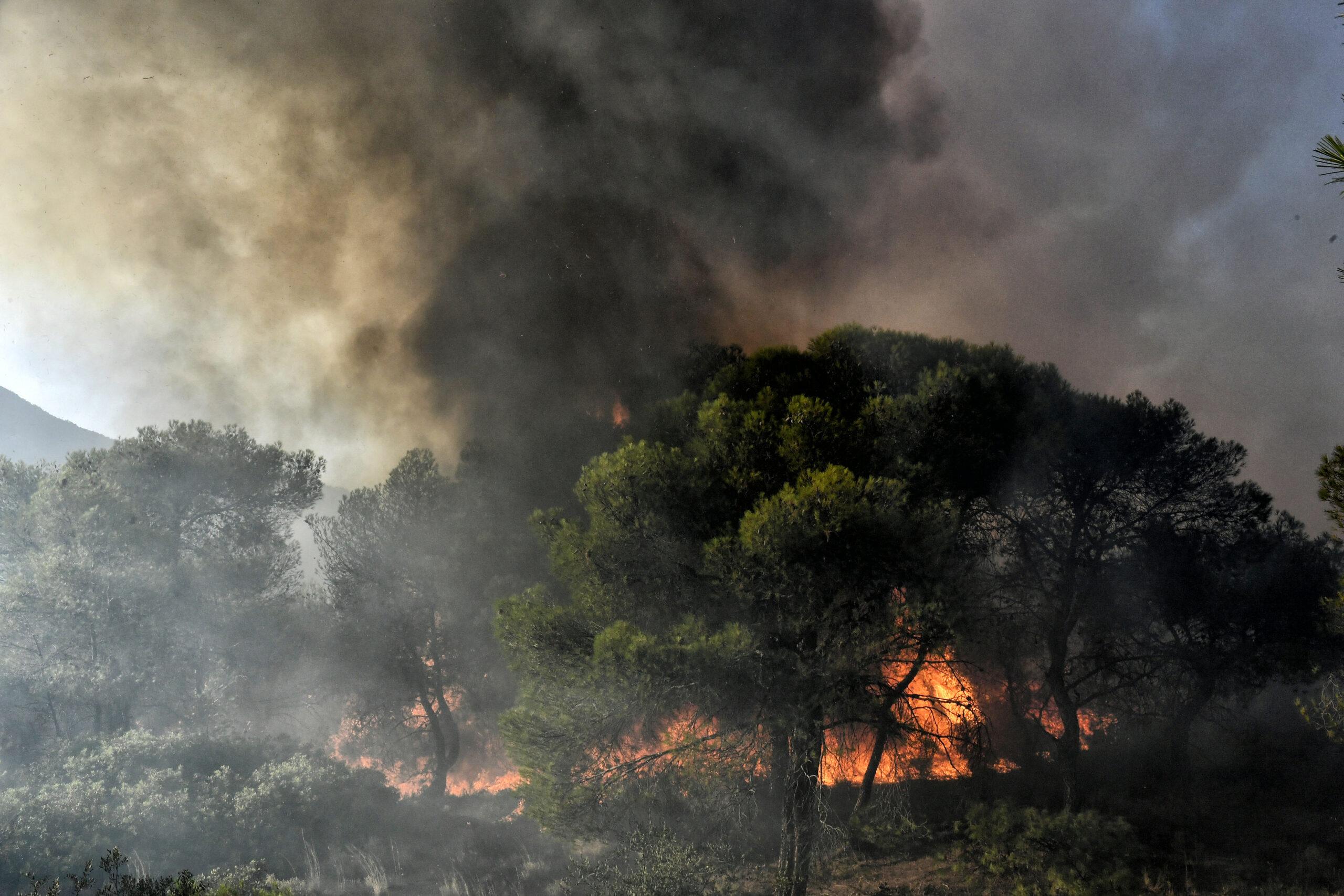Σάμος: Φωτιά σε δασική έκταση κοντά στο Βαθύ