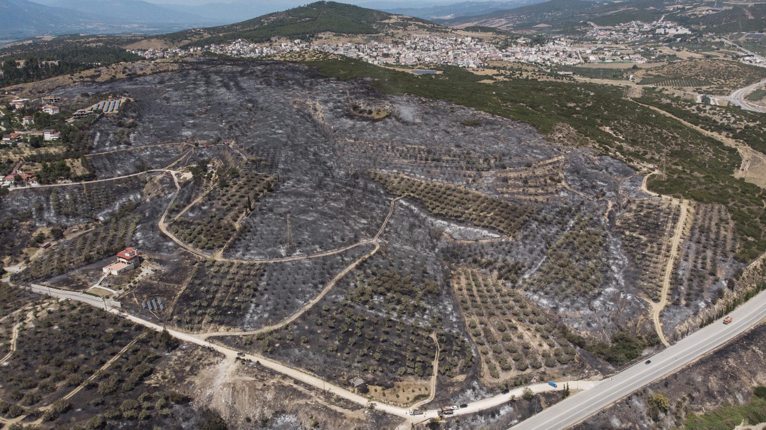Καθηγητής κρούει τον κώδωνα του κινδύνου: «Όταν βρέξει οι καρκινογόνες ουσίες της φωτιάς θα περάσουν στο πόσιμο νερό»
