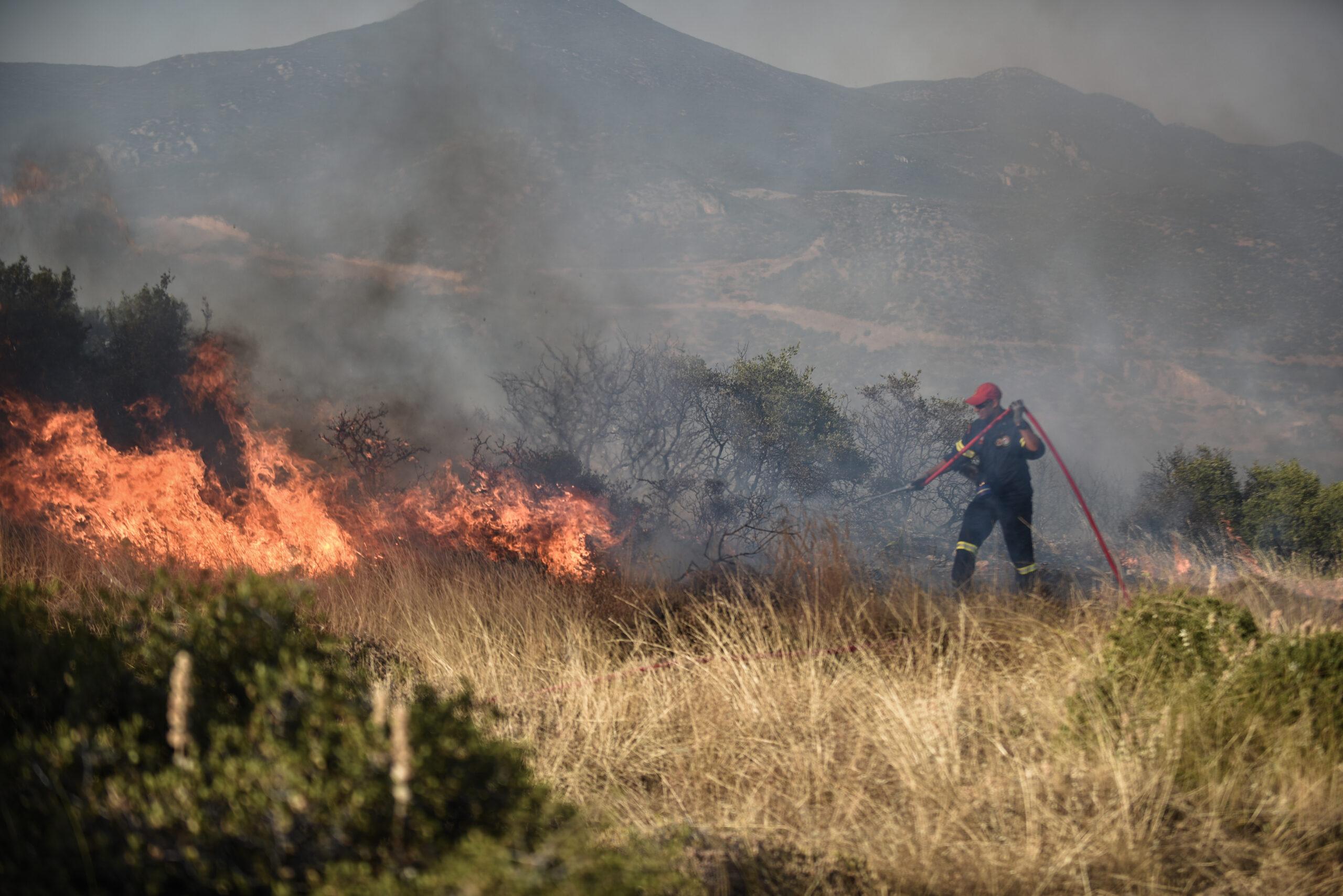 Φωτιές: Αυστηρότερες οι ποινές για τους εμπρηστές – Αύριο η συνάντηση Κικίλια – Φλωρίδη