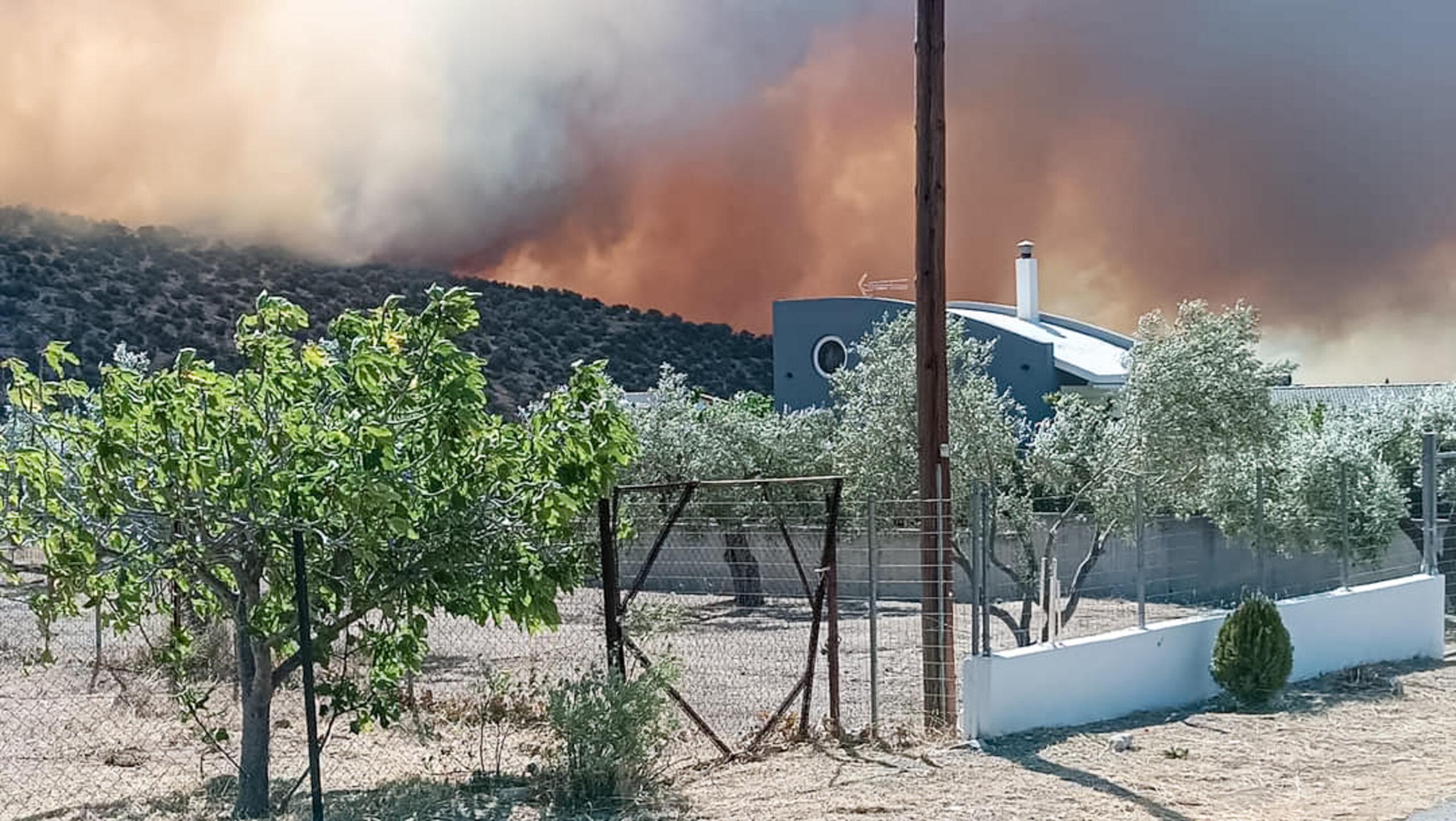 Φωτιά στη Βοιωτία: Υπό έλεγχο το μέτωπο στη θέση Μαυροβούνι