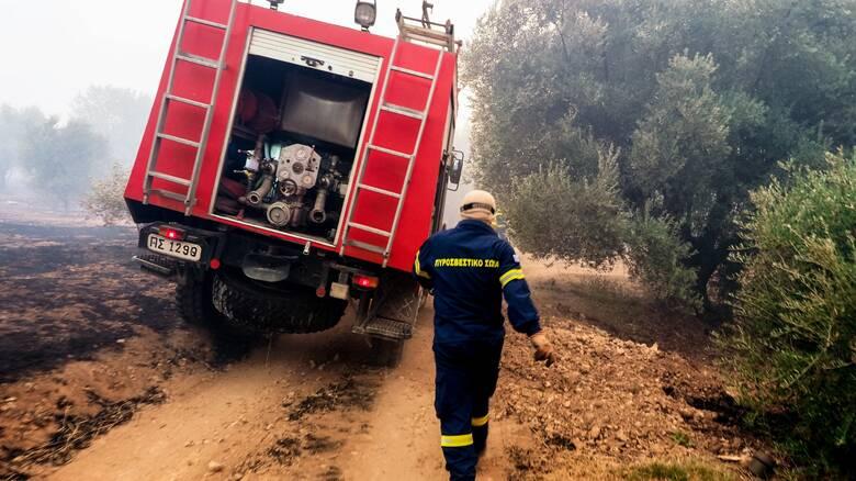 Μεσσηνία: Υπο έλεγχο τα δυο μέτωπα της πυρκαγιάς στον Ταΰγετο