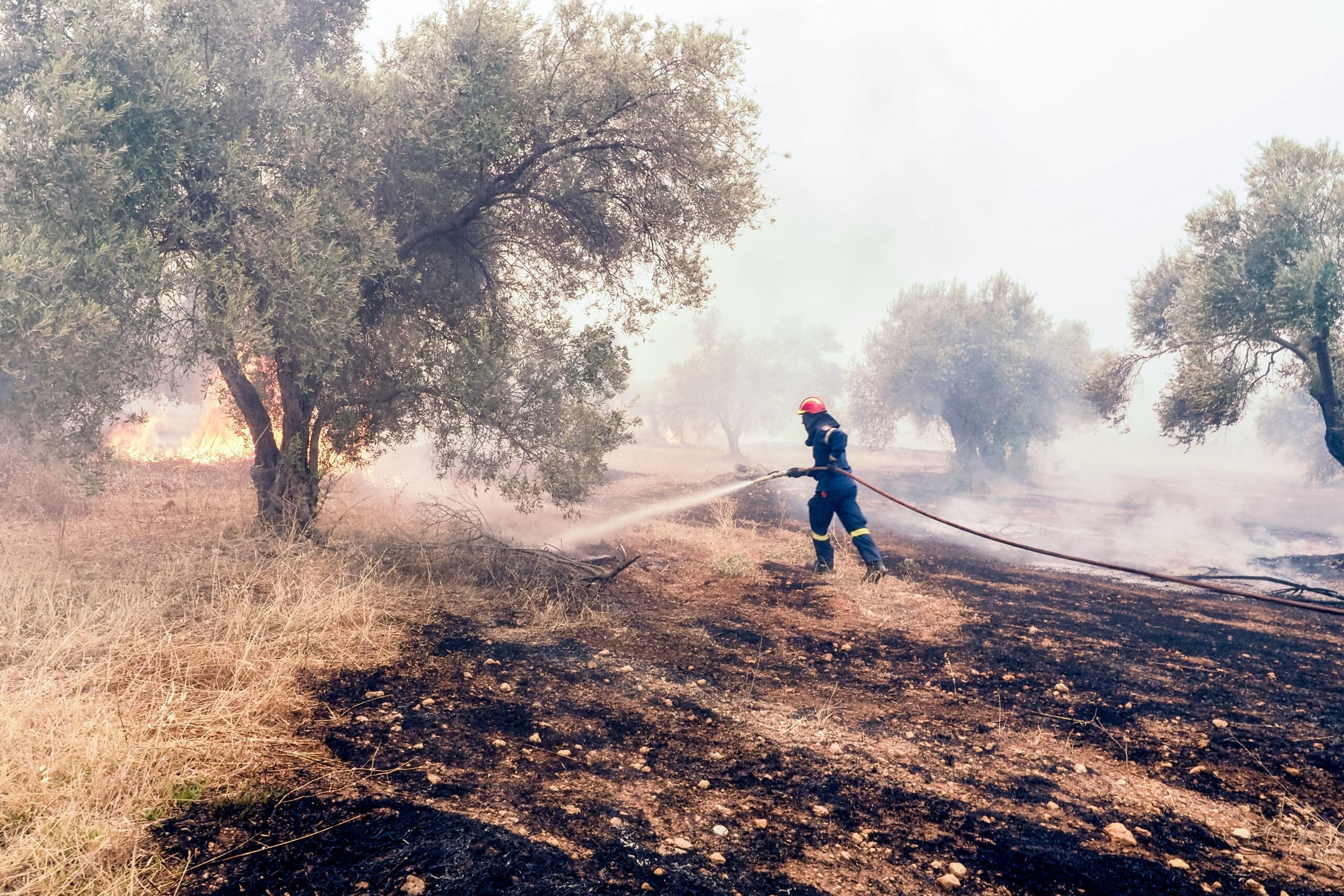 Ελλάδα – Φωτιές: Μέσα σε ένα 24ωρο ξέσπασαν 63 δασικές πυρκαγιές