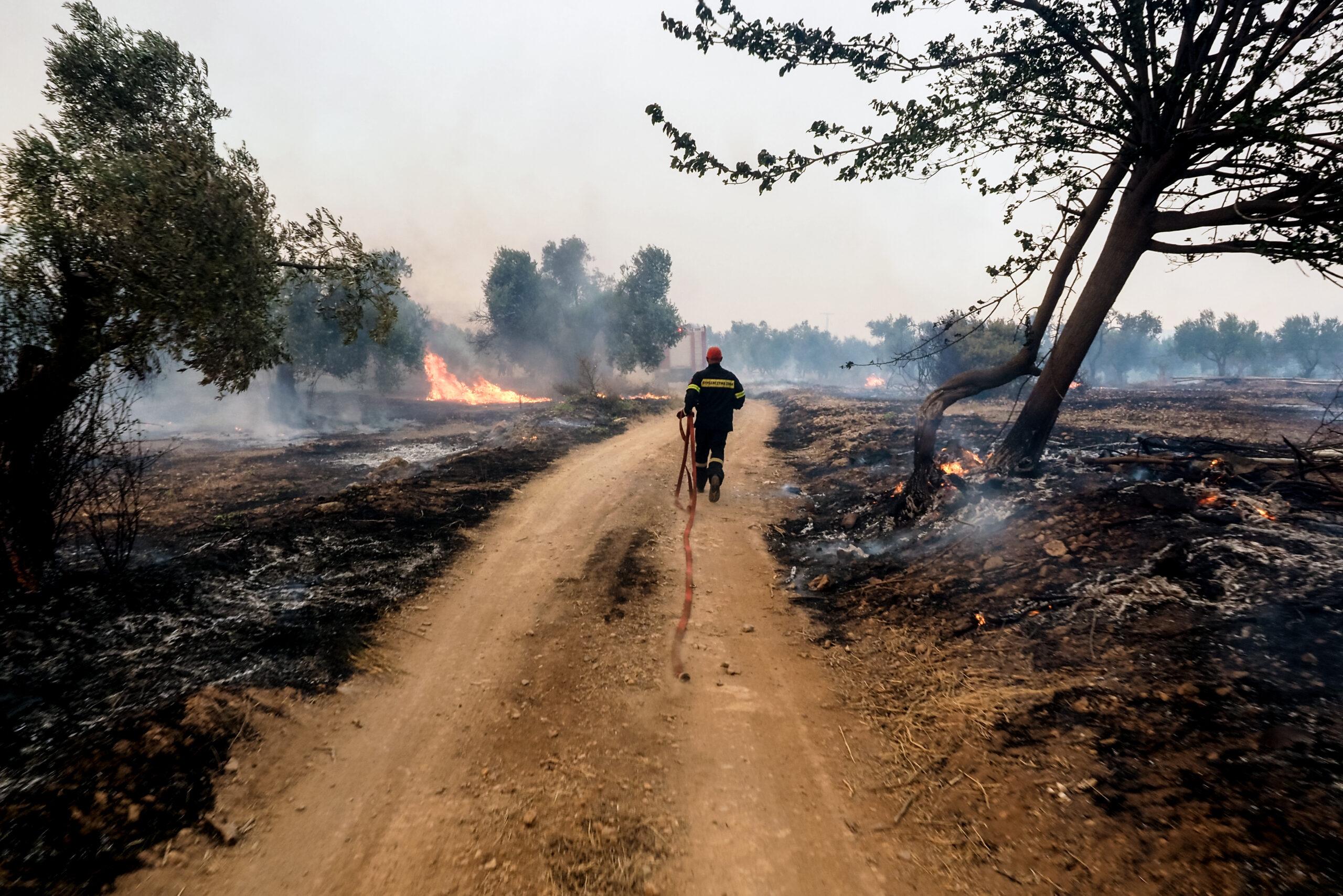 Φωτιά στην Εύβοια: Μήνυμα του 112 για εκκένωση σε Νέα Αρτάκη και Βατώντα