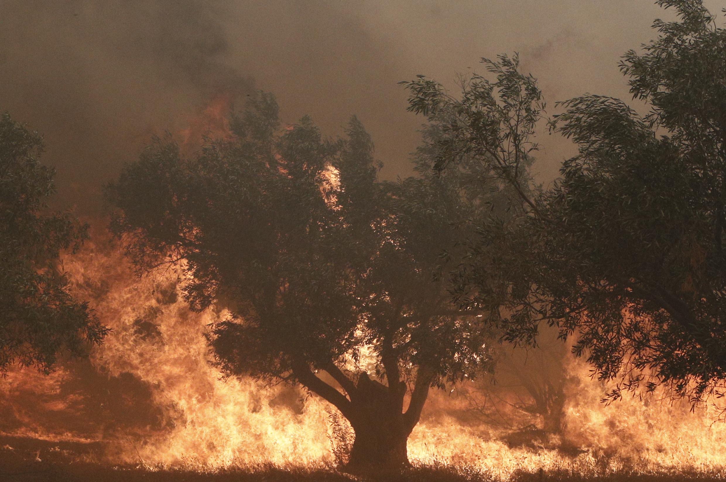 Φωτιές: Βοήθεια έξι χωρών στην Ελλάδα – Κατέφτασαν σήμερα Ρουμάνοι πυροσβέστες