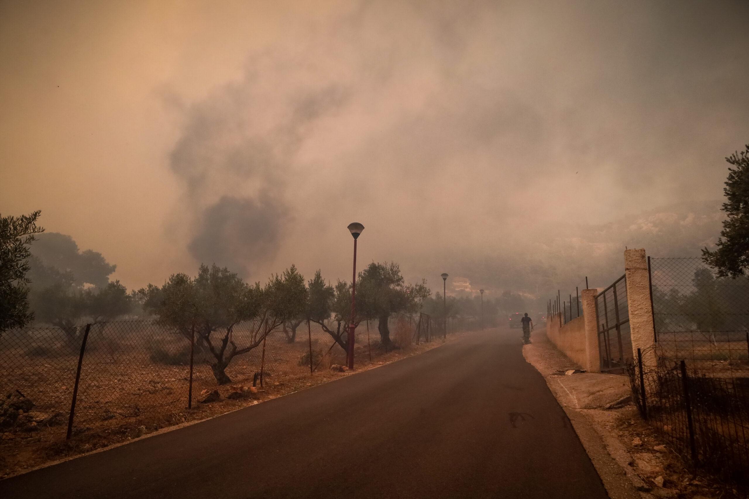 Δήμαρχος Βόρειας Κυνουρίας: «Αν η φωτιά φύγει προς το δάσος, θα υπάρξει τεράστιο πρόβλημα»
