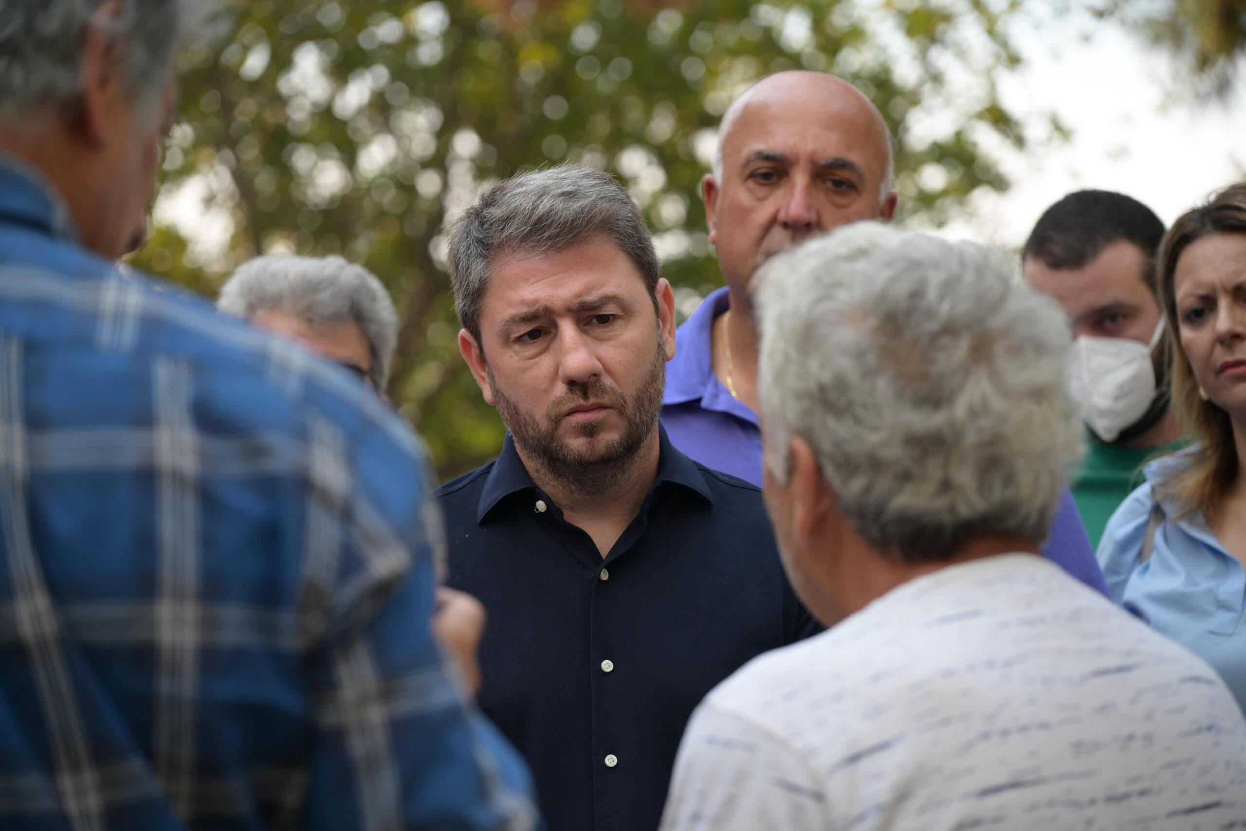 Νίκος Ανδρουλάκης για πυρκαγιές: «Πρέπει να ακολουθήσουμε βέλτιστες ευρωπαϊκές πρακτικές»