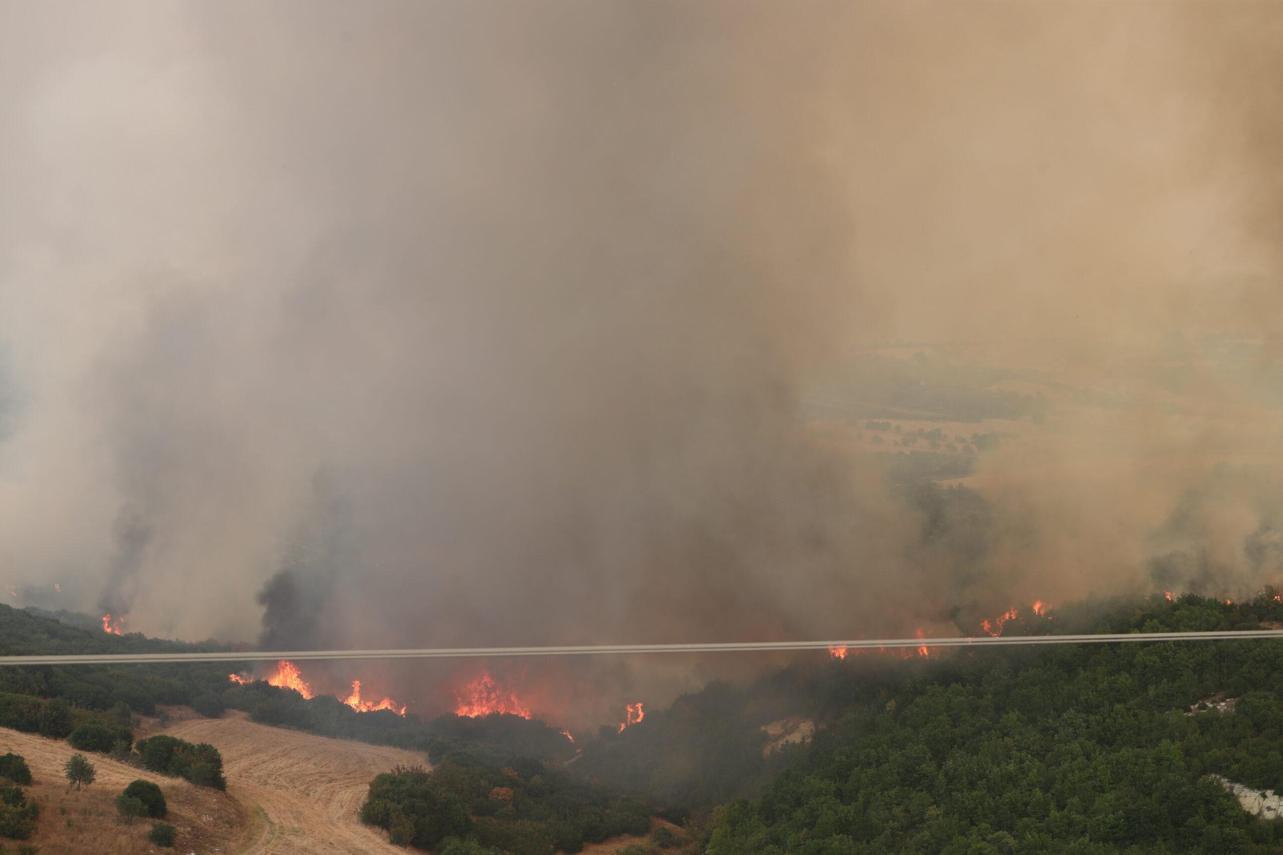 Φωτιές στον Έβρο: Απαγόρευση κυνηγιού με απόφαση του Υπουργείου Περιβάλλοντος