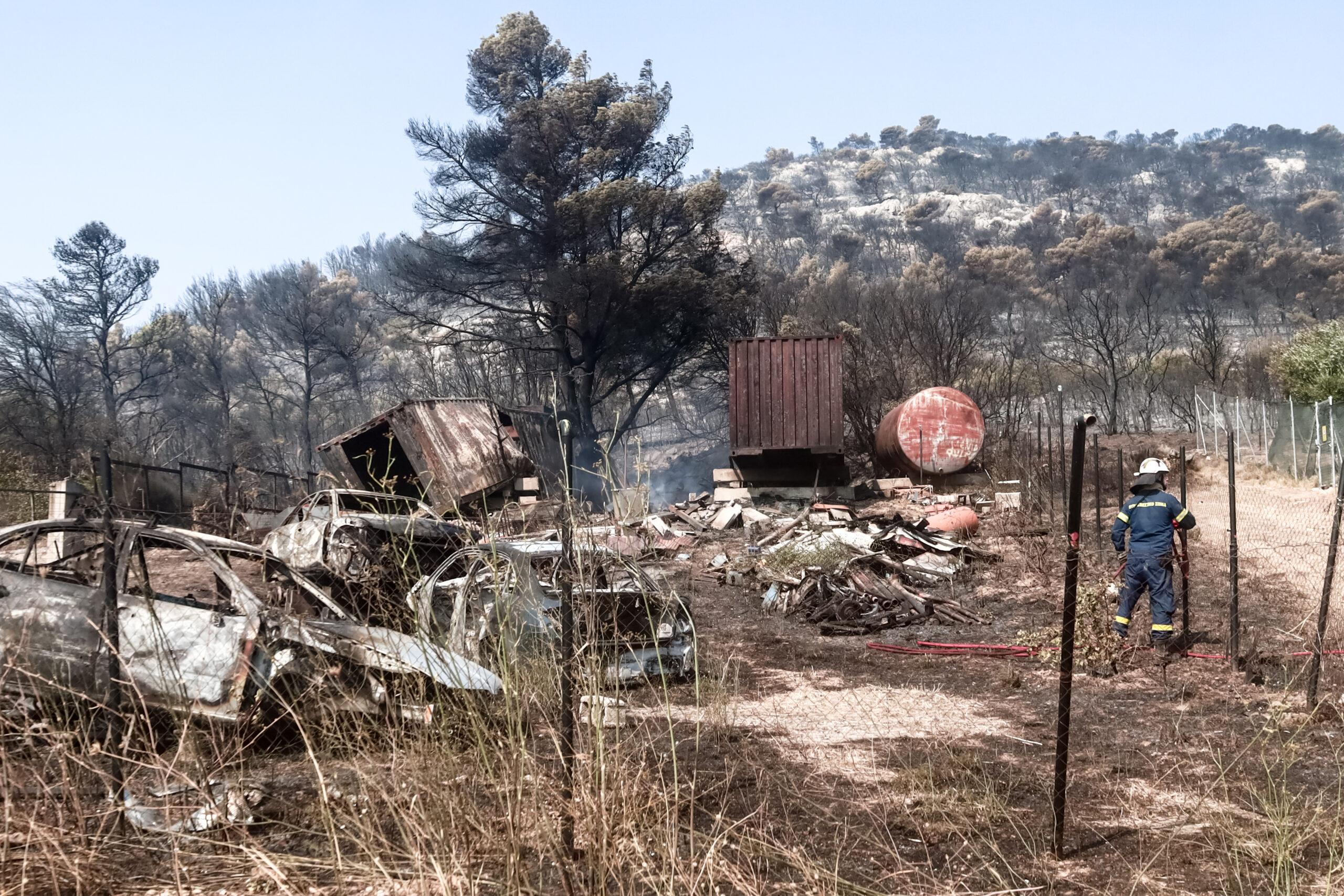 Πάρνηθα: Πού υπάρχει διακοπή κυκλοφορίας λόγω της φωτιάς – Βρέθηκε ανθρώπινο κρανίο στην Χασιά
