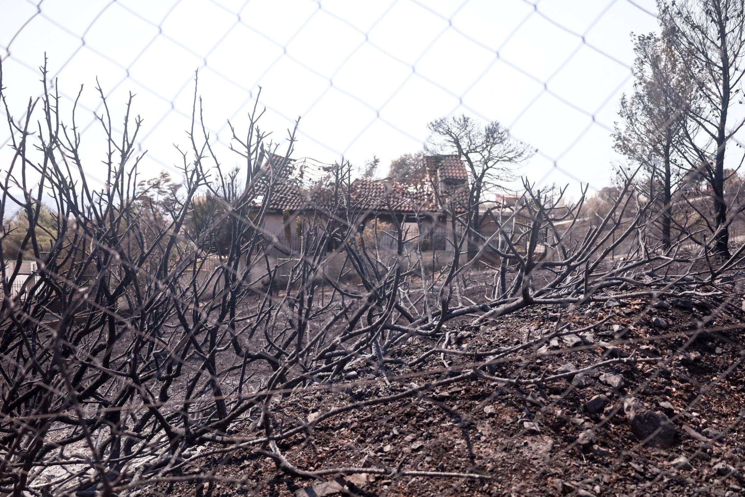 Χάρτης πυρκαγιών: Υψηλός κίνδυνος για πολλές περιοχές το Σάββατο (26/8)