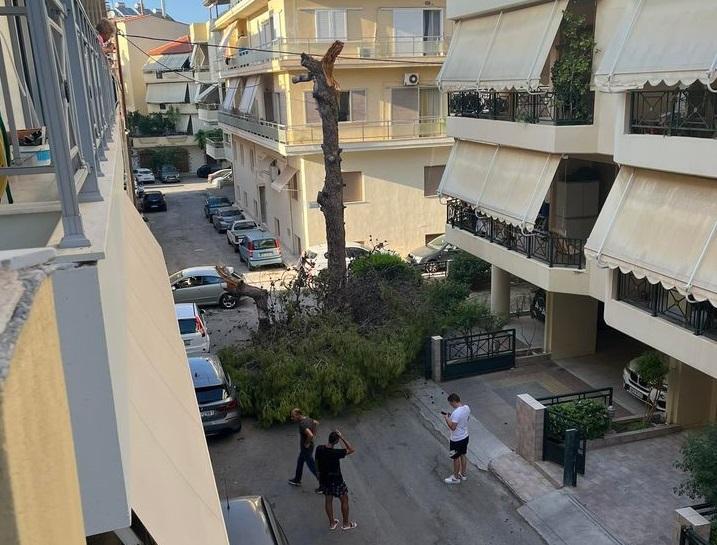 Πτώση δέντρου σε γειτονιά του Ηρακλείου Κρήτης – Από θαύμα δεν τραυματίστηκε κανείς