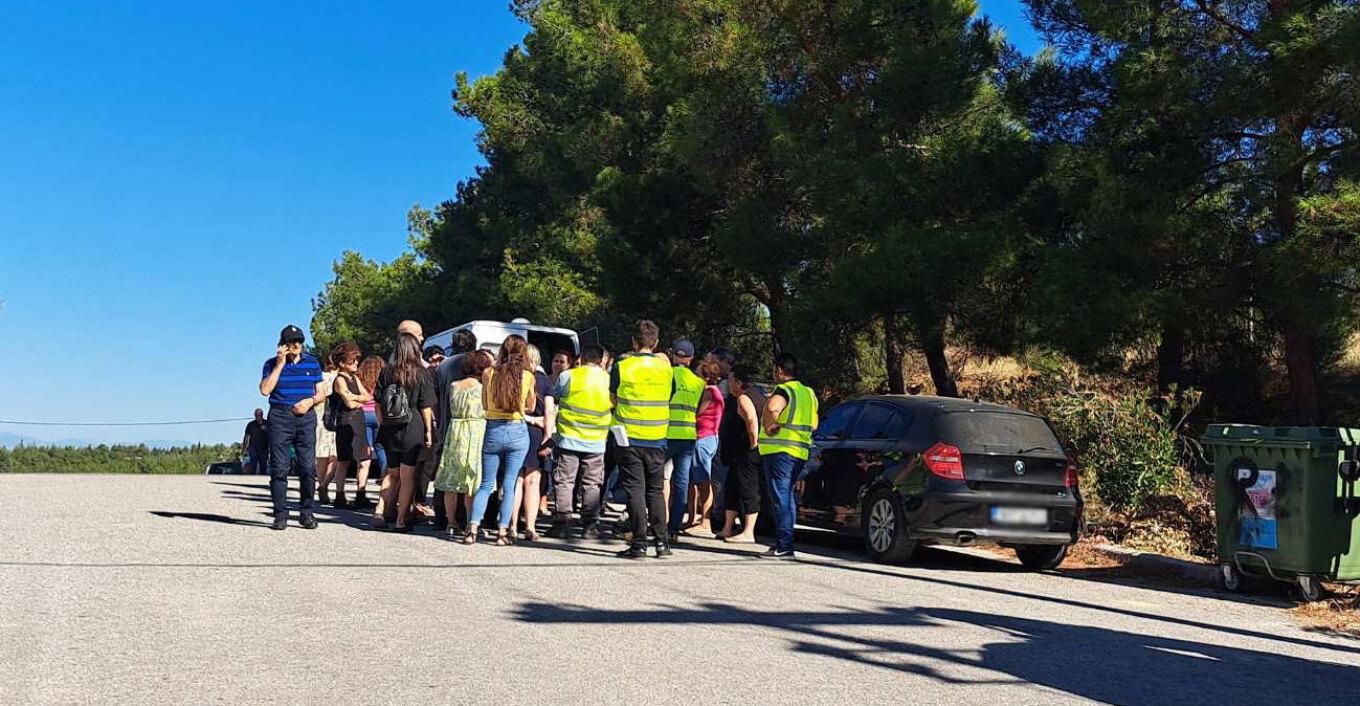 Θεσσαλονίκη: Σταμάτησαν προσωρινά οι κοπές δέντρων στα Κωνσταντινοπολίτικα για το Flyover (ΒΙΝΤΕΟ)