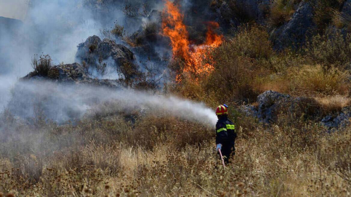 Φωτιά στη Χαλκιδική: Υπό έλεγχο η πυρκαγιά στο Βατοπέδι Ορμύλιας