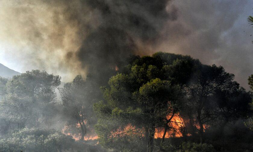 Πυροσβεστική: 38 δασικές πυρκαγιές το τελευταίο 24ωρο