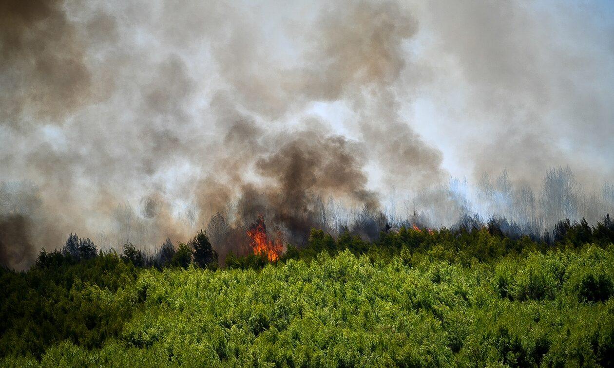 Φωτιά στην Ξάνθη: Επιχειρούν εναέρια και επίγεια μέσα