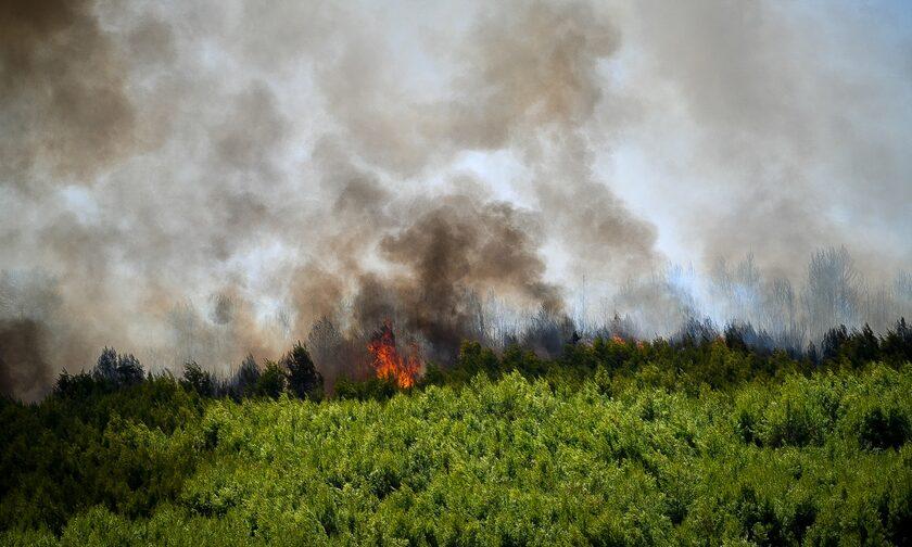 Φωτιά στην Ξάνθη: Κινητοποιήθηκαν επίγειες και εναέριες δυνάμεις