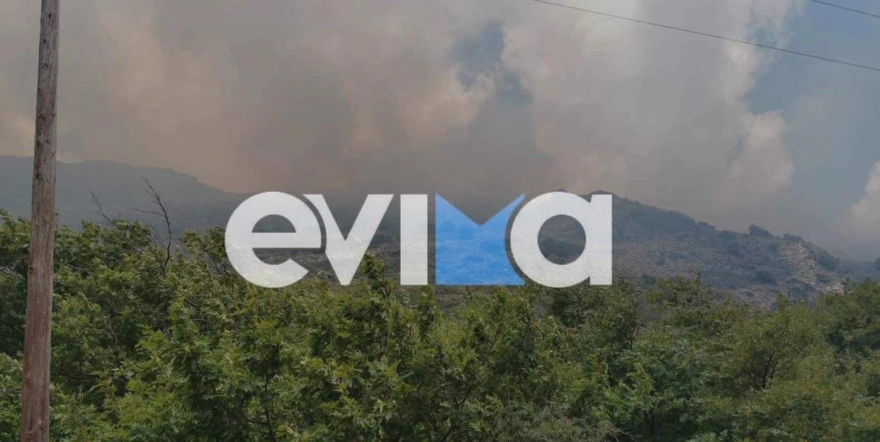 Φωτιά στην Κάρυστο: Ενισχύθηκαν οι πυροσβεστικές δυνάμεις – Ισχυροί άνεμοι στην περιοχή