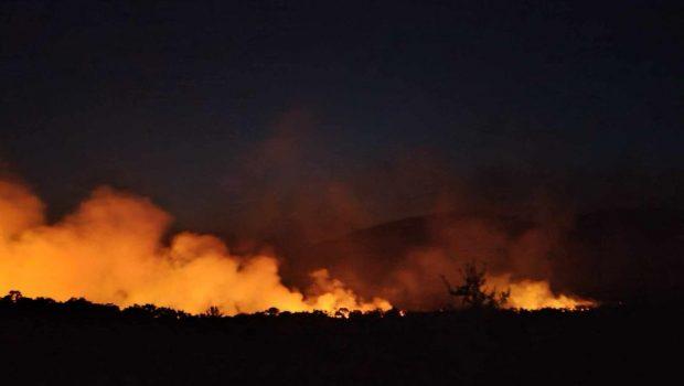 Δύσκολη νύχτα στα Φάρσαλα: Πέρασε στην Ανάβρα Μαγνησίας η φωτιά
