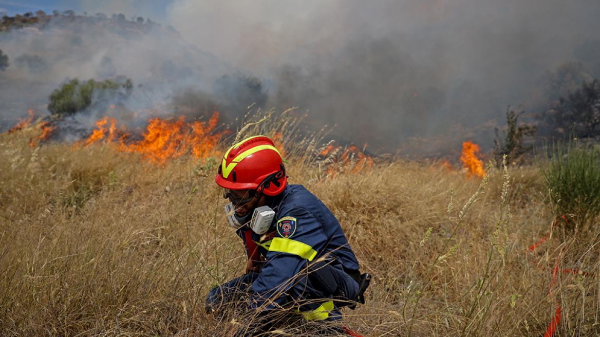 Φωτιά στον Έβρο: Για 11η μέρα μαίνεται ο πύρινος εφιάλτης – Σε τρία μέτωπα η μάχη