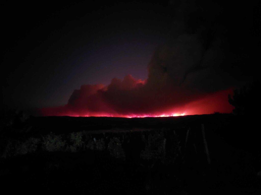 Έβρος: Ανεξέλεγκτη μαίνεται η φωτιά – Μήνυμα του 112 για ετοιμότητα σε Δαδιά και Σουφλί (ΒΙΝΤΕΟ)