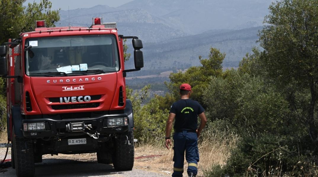 Ξάνθη: Υπό μερικό έλεγχο η φωτιά στην περιοχή Θαλασσιά