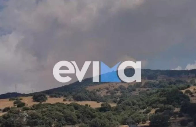 Εύβοια: Φωτιά σε χαμηλή βλάστηση στα Ρούκλια – Κινητοποιήθηκαν εναέρια μέσα