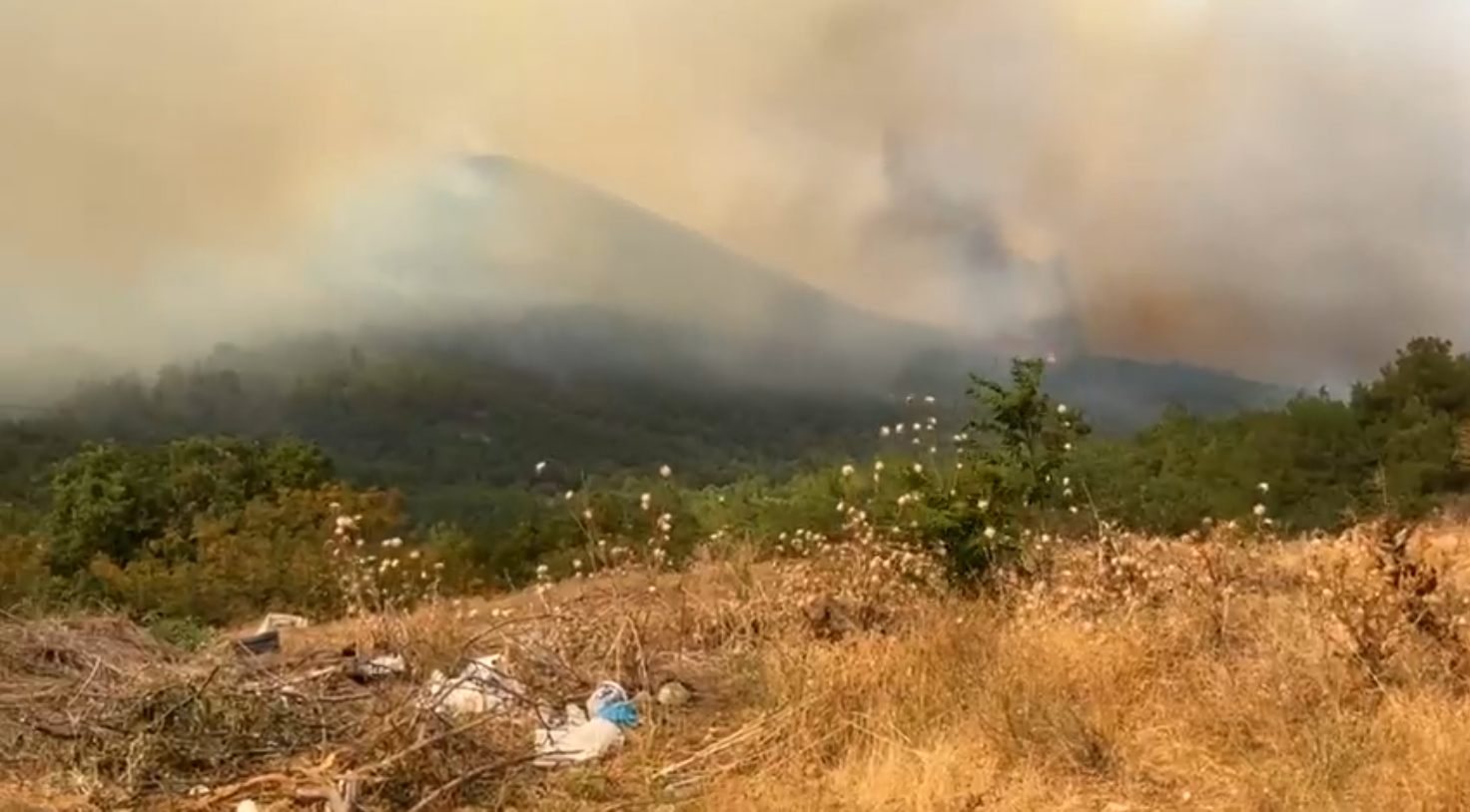 Φωτιά στην Αλεξανδρούπολη: Εκκενώνονται η Νίψα, το Αετοχώρι και τα Πεύκα (ΒΙΝΤΕΟ)