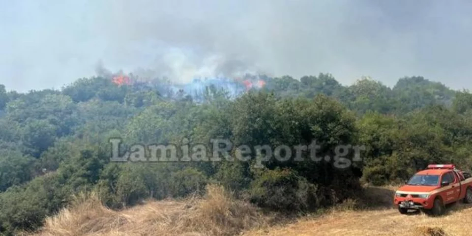 Φωτιά στη Μακρακώμη Φθιώτιδας