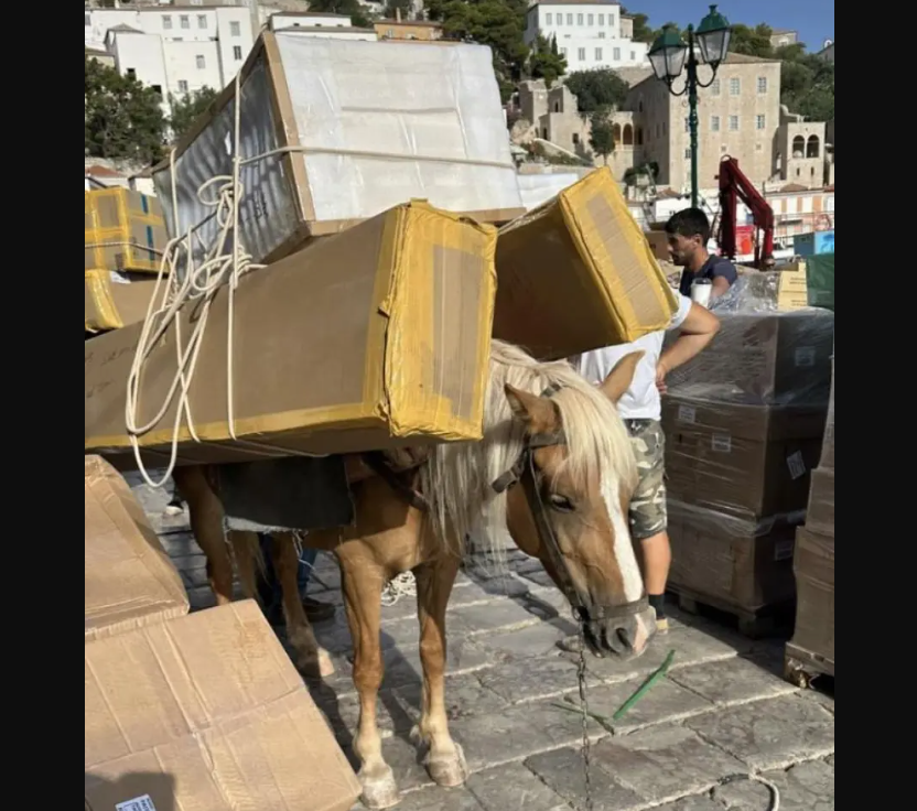 Ύδρα: Γαϊδουράκια κακοποιούνται κουβαλώντας μέχρι και… ψυγεία (ΒΙΝΤΕΟ)