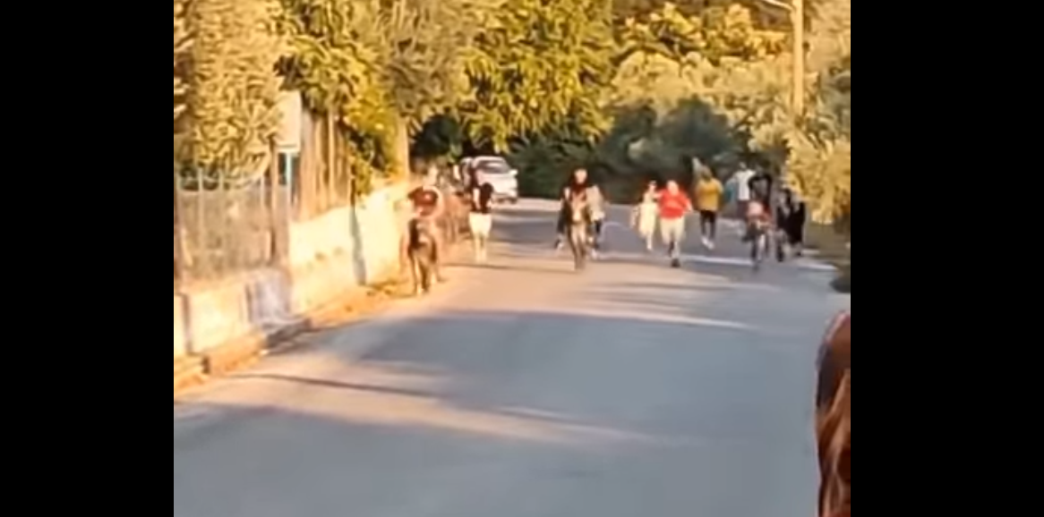 Απίστευτο: Ανήλικοι έκαναν «γαϊδουροδρομίες» στη Λέσβο – Τους χειροκροτούσαν ενήλικοι (ΒΙΝΤΕΟ)