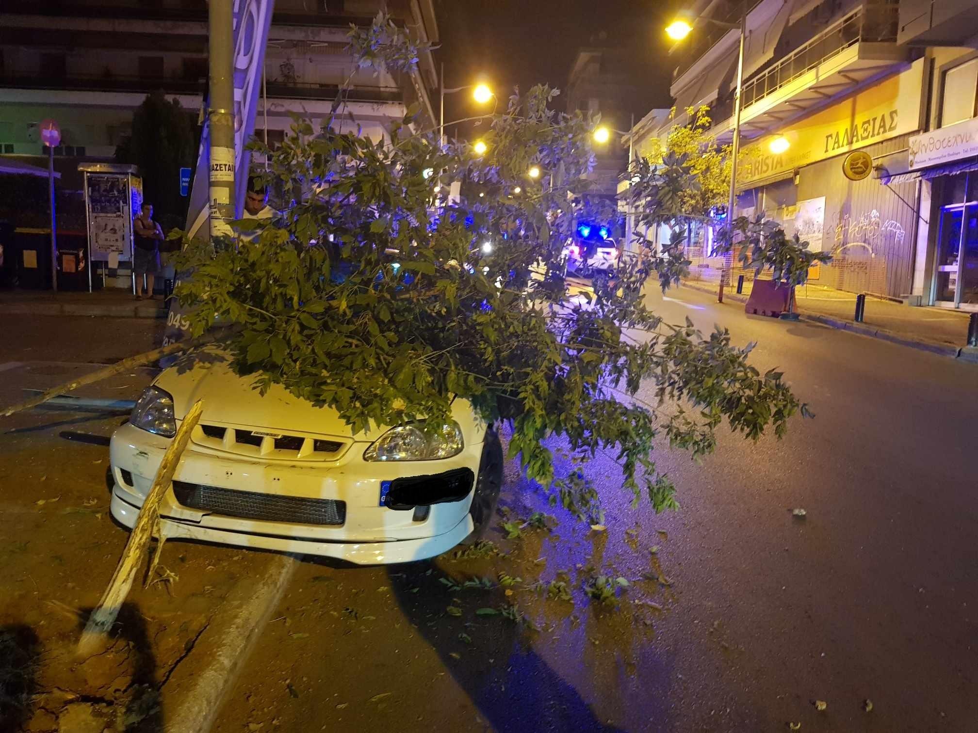 Τροχαίο στην Κοζάνη – ΙΧ «καρφώθηκε» σε δέντρο και κολόνα (ΕΙΚΟΝΕΣ & ΒΙΝΤΕΟ)