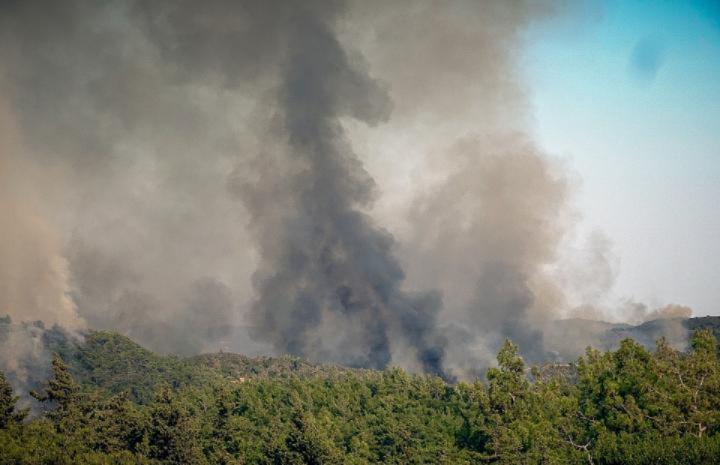 Πυρκαγιά σε δύσβατο σημείο στα Ιωάννινα